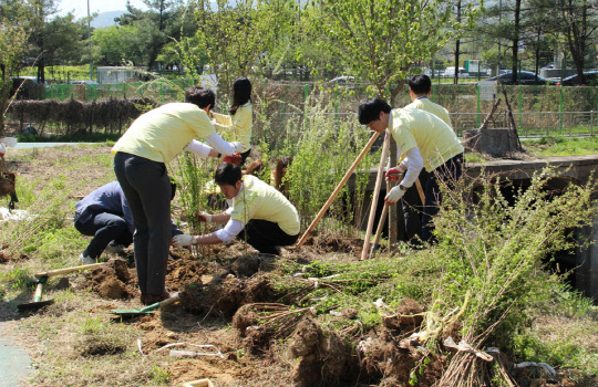 전자문서·리포팅 SW 개발기업 포시에스(대표 조종민 박미경)는 서초구청, 트래플래닛과 함께 서울 양재동 여의천 일대에서 숲길 조성 나무심기 캠페인에 참여해 나무 1000여주를 식수했다고 20일 밝혔다. 포시에스 직원들이 나무를 심고 있다.   포시에스 제공